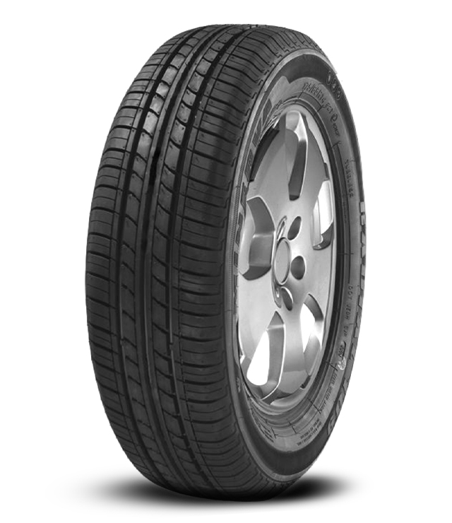 165/70 R14 89R MINERVA 109