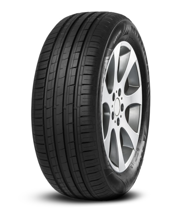 205/60 R15 91H MINERVA F209