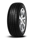 225/55 R19 99V Ecospeed 2 SUV 