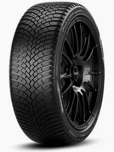PN PIR 205/55R17 95H XL WTCNT3