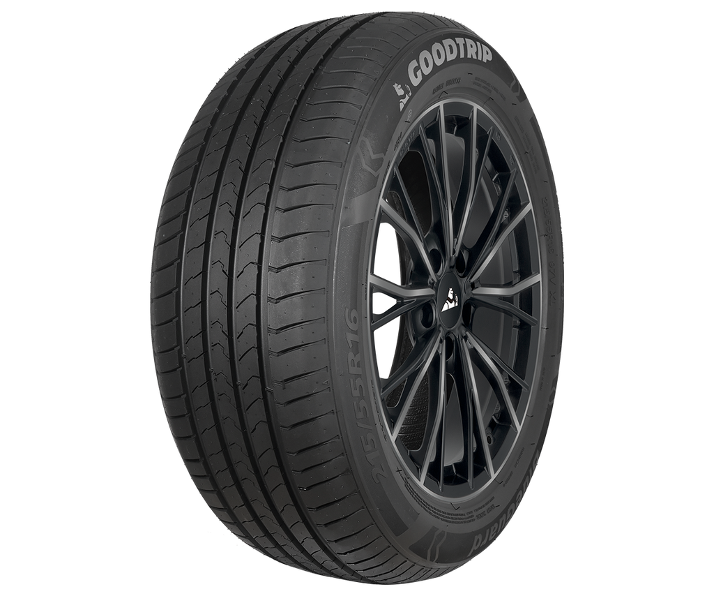 205/55R16 91W GOODTRIP BLUEGUARD
